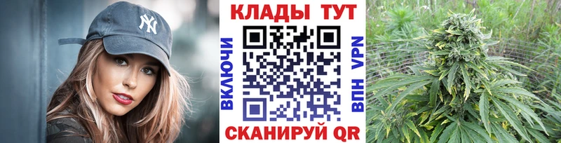 Где купить наркотики Петрозаводск Каннабис  COCAIN  Псилоцибиновые грибы  Меф мяу мяу  ГАШИШ 
