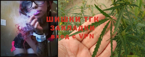 гидра Медногорск