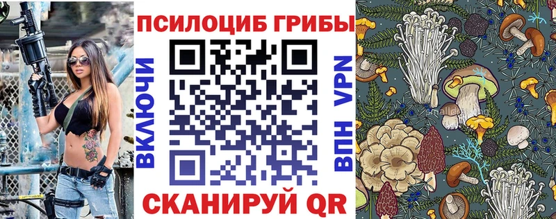 купить закладку  Петрозаводск  Галлюциногенные грибы Psilocybine cubensis 