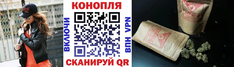 Бошки марихуана MAZAR  где найти наркотики  Петрозаводск 